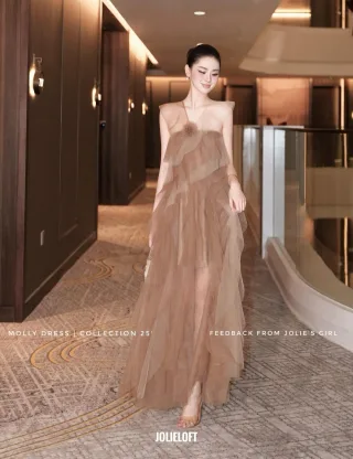 Ảnh 1 của Đầm tulle nâu dài dự tiệc nữ
