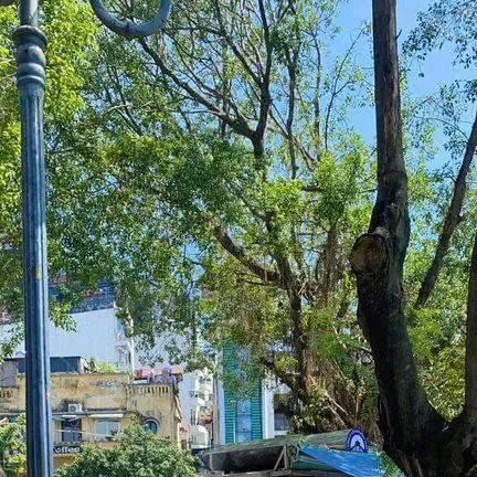 Photo 1 of Áo Dài Yếm Sen Maxi Cho Thuê Chụp Ảnh