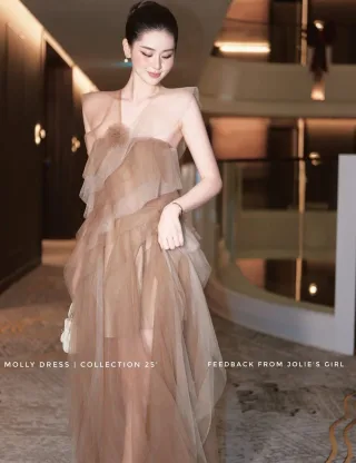 Ảnh 4 của Đầm tulle nâu dài dự tiệc nữ
