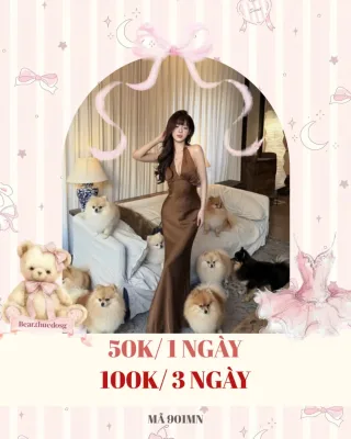 Photo 1 of Váy dài lụa nâu size M quyến rũ