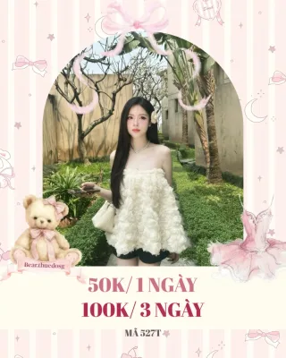 Photo 1 of Áo quây nhún bèo trắng nữ hot trend