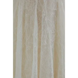 Ảnh 3 của Váy ren trắng vintage Sò Vintage