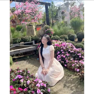 Ảnh 1 của Váy hồng voan cổ trắng xòe nữ
