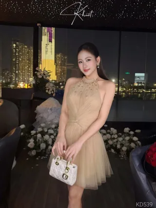Photo 3 of Đầm dạ hội voan be sang trọng nữ